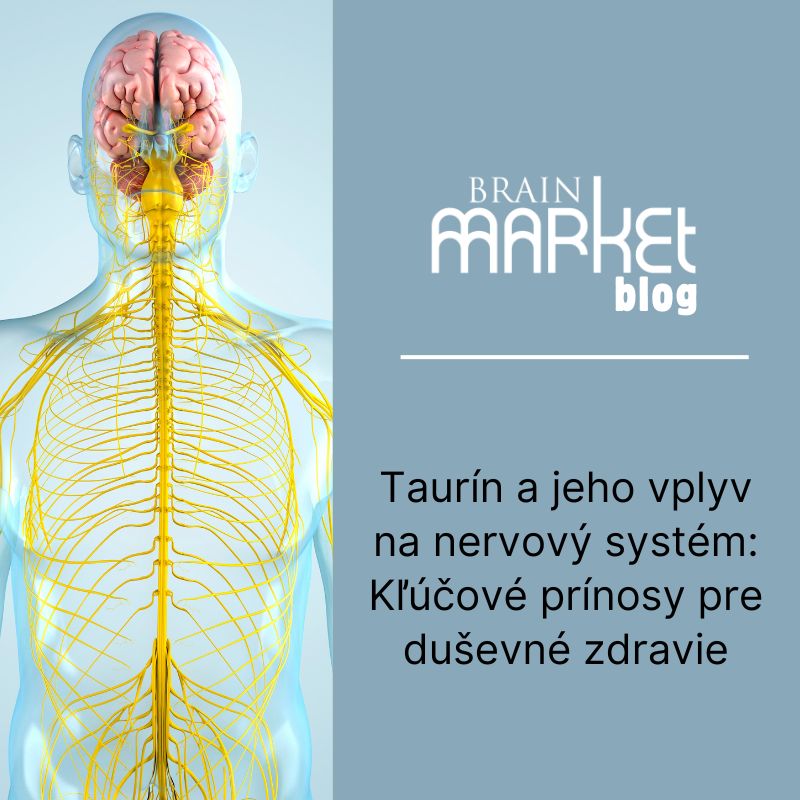Taurín a jeho dopad na nervový systém: Kľúčové prínosy pre duševné zdravie
