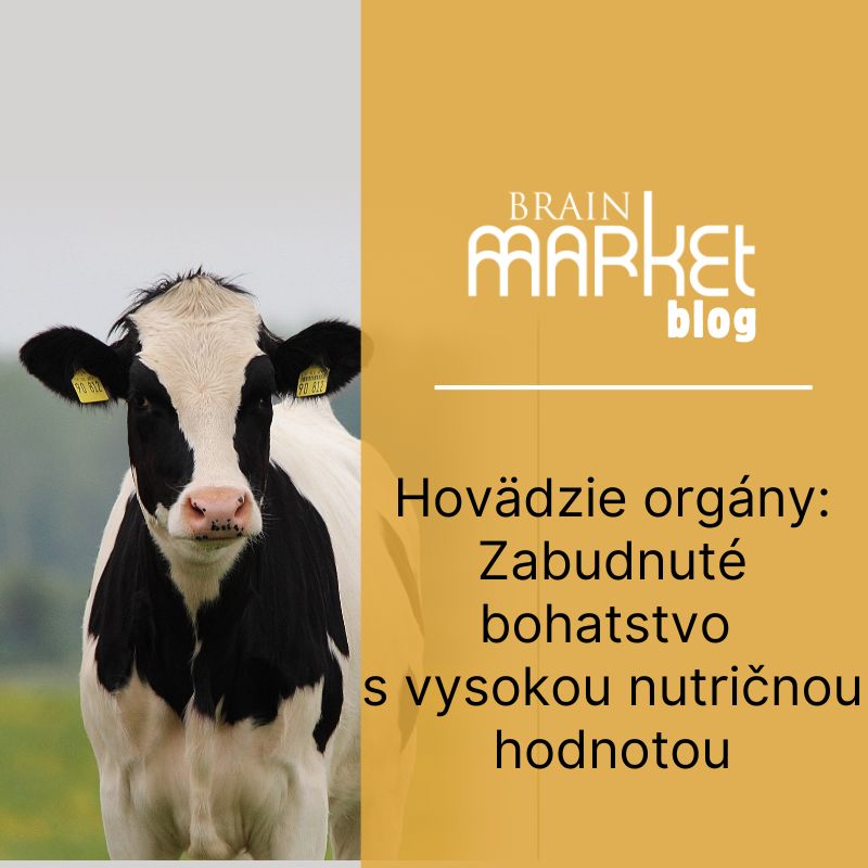 Hovädzie orgány: Zabudnuté bohatstvo s vysokou nutričnou hodnotou