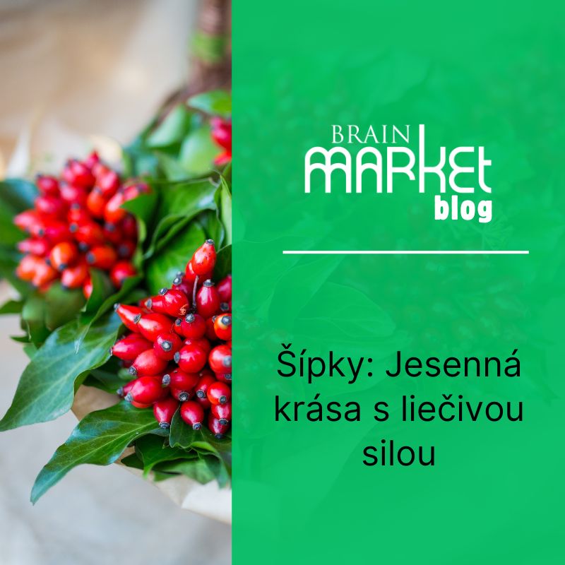 Šípky: Jesenná krása s liečivou silou