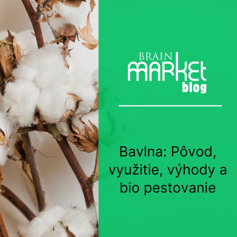Bavlna: Pôvod, využitie, výhody a bio pestovanie