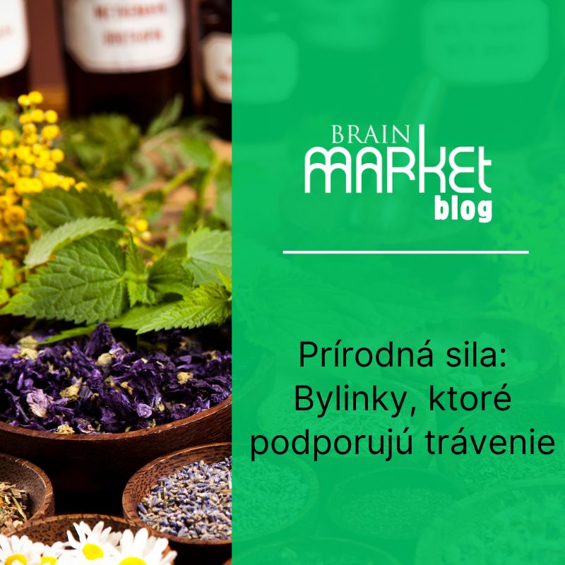 Prírodná sila: Bylinky, ktoré podporujú trávenie