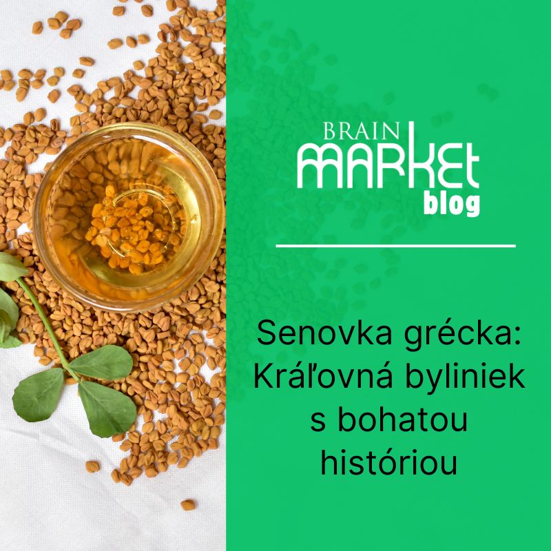Senovka grécka: Kráľovná bylín s bohatou históriou