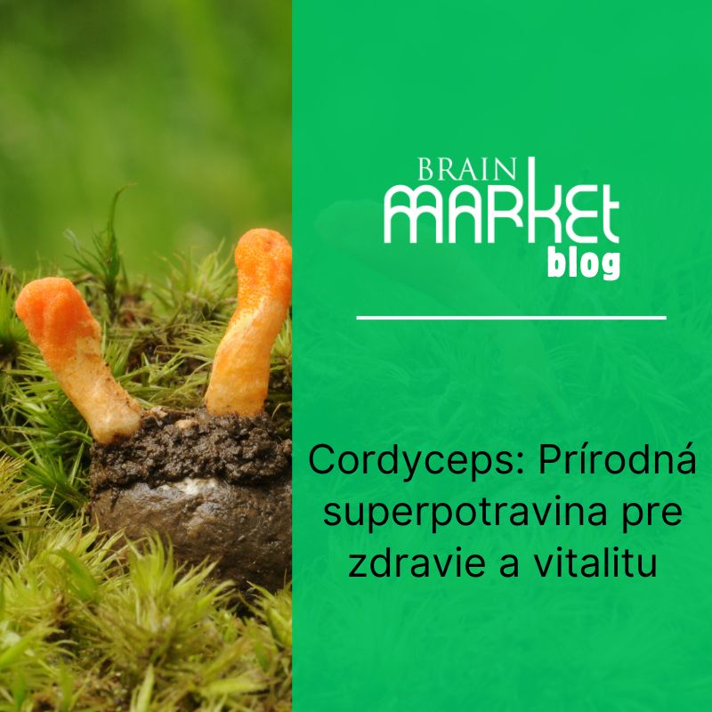 Cordyceps: Prírodná superpotravina pre zdravie a vitalitu