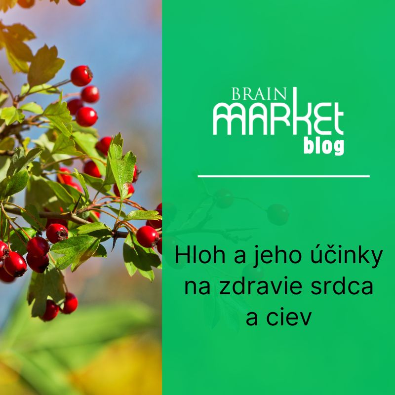 Hloh a jeho účinky na zdravie srdca a ciev