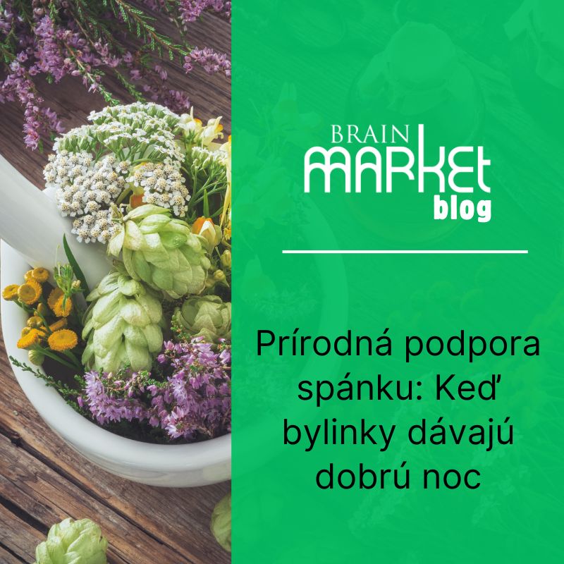 Prírodná podpora spánku: Keď bylinky dávajú dobrú noc