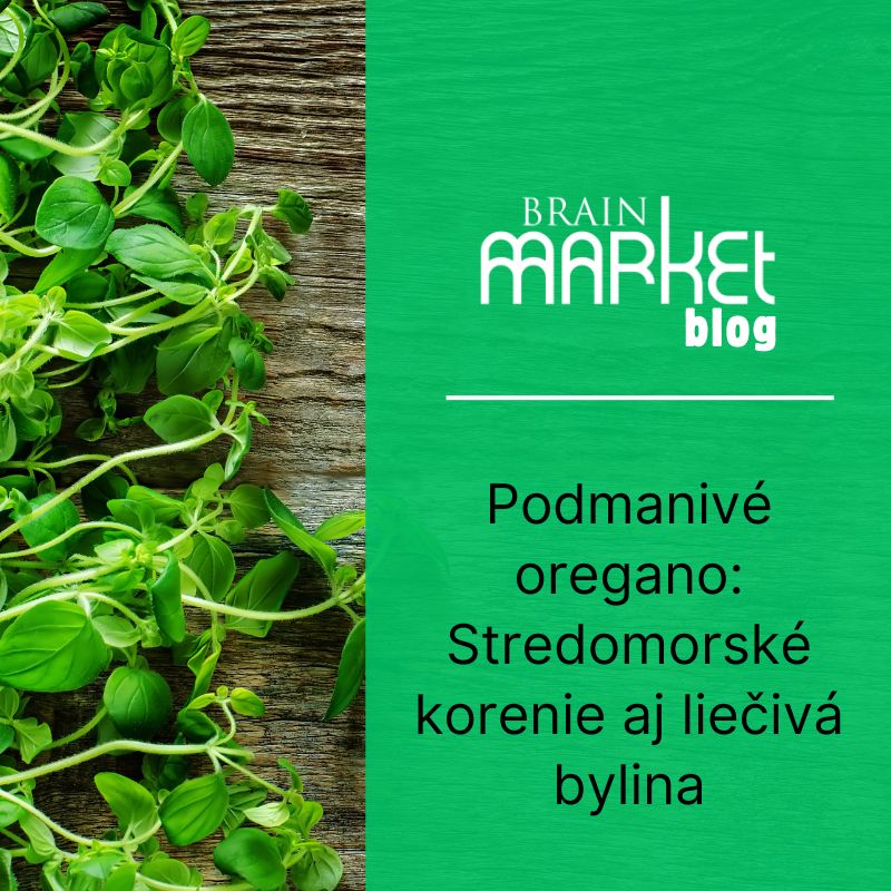 Podmanivé oregano: Stredomorské korenie aj liečivá bylina