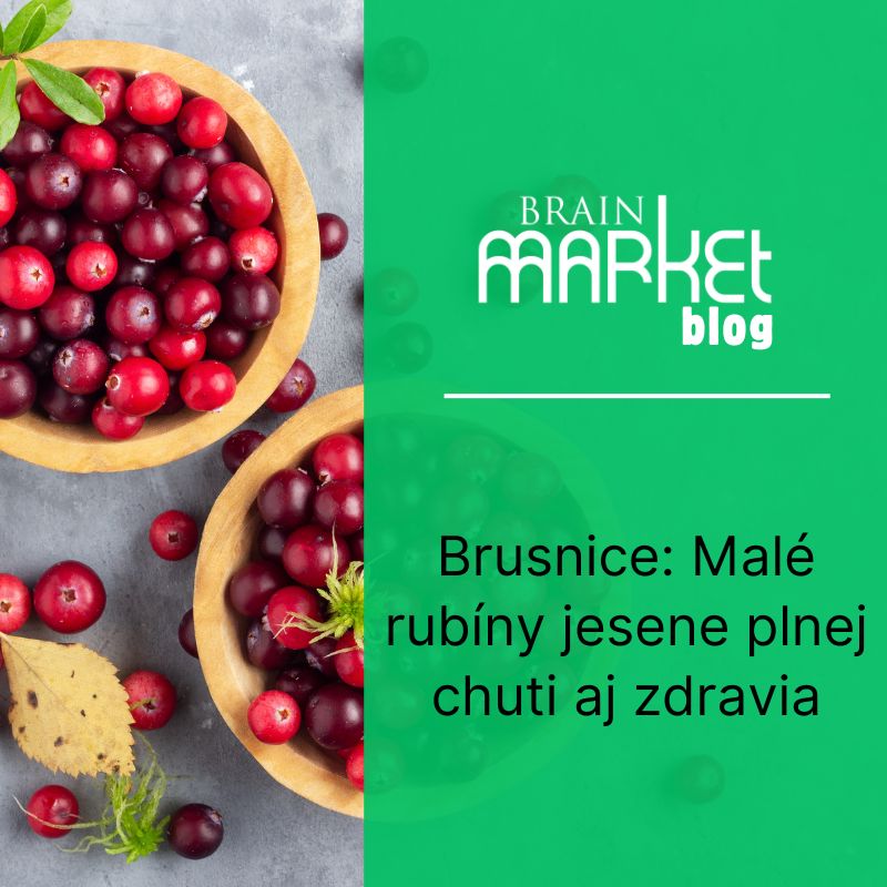 Brusnice: Malé rubíny jesene plné chuti aj zdravia