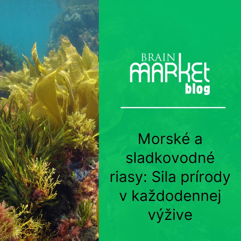 Morské a sladkovodné riasy: Sila prírody v každodennej výžive