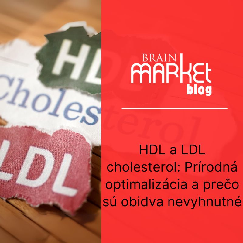 HDL a LDL cholesterol: Prírodná optimalizácia a prečo sú obidva nevyhnutné