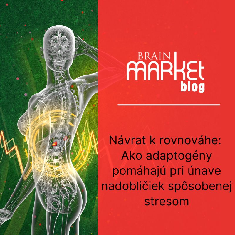 Návrat k rovnováhe: Ako adaptogény pomáhajú pri únave nadobličiek spôsobenej stresom