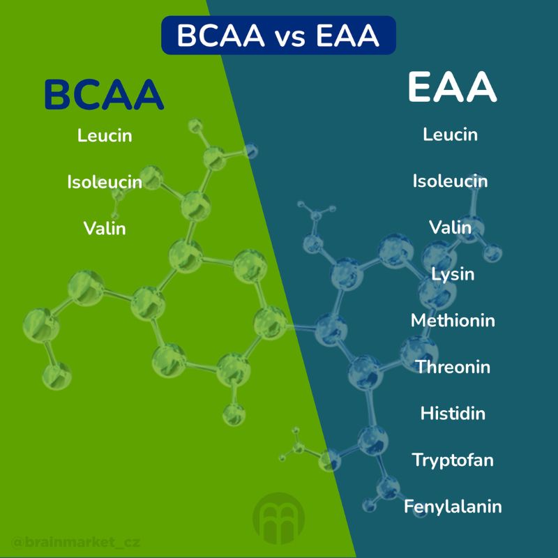 BCAA a EAA. Aký je medzi nimi rozdiel? EAA na budovanie svalovej hmoty.