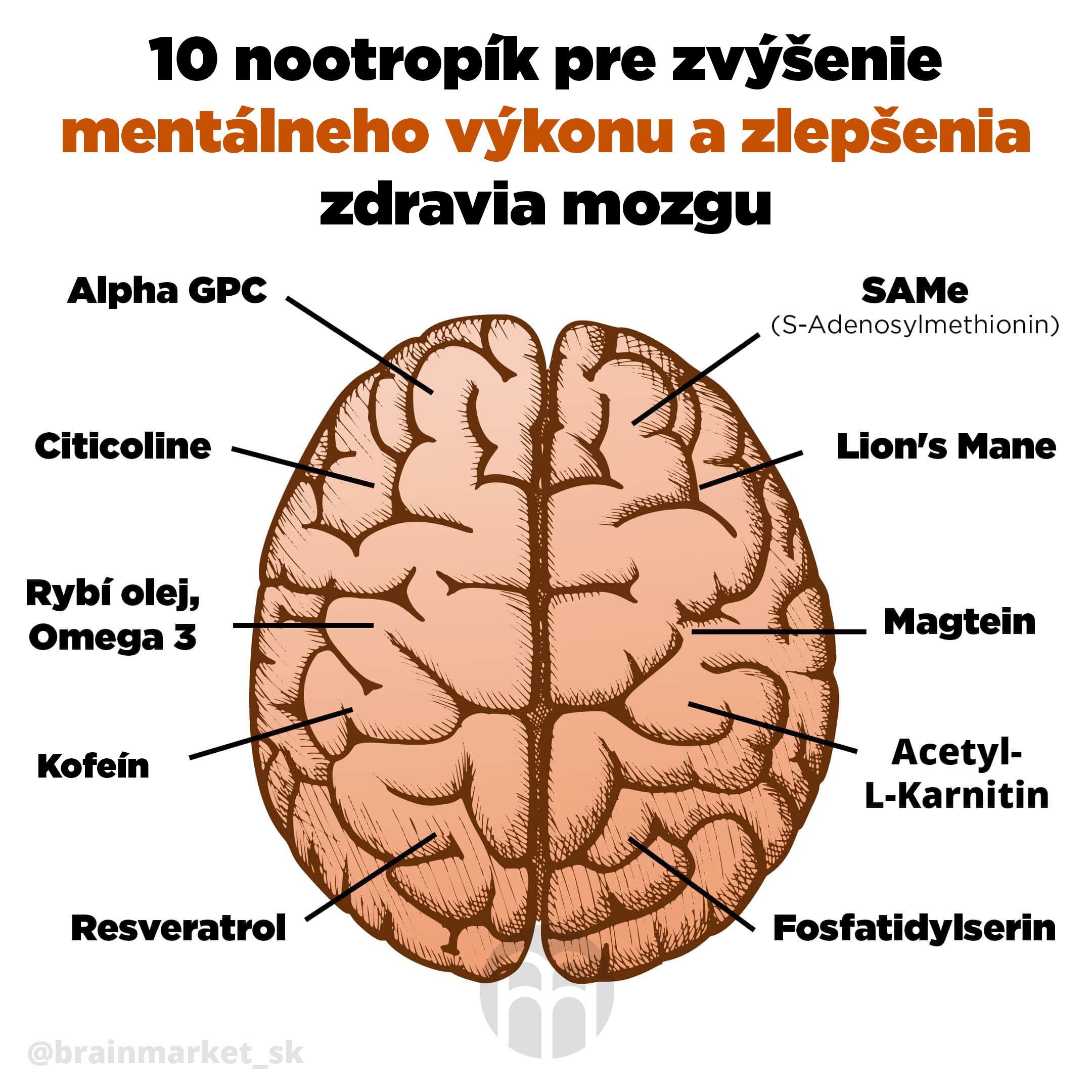 10 nootropík pre zvýšenie mentálneho výkonu a zlepšenie zdravia mozgu