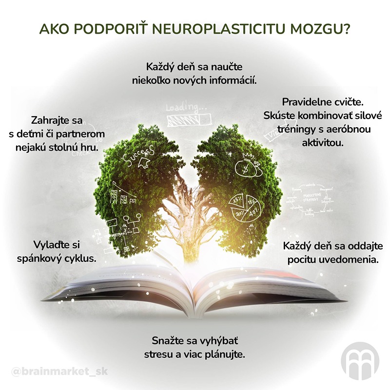 Neuroplasticita mozgu. Ako sa v priebehu života mení náš mozog? Ako podporiť neuroplasticitu mozgu?