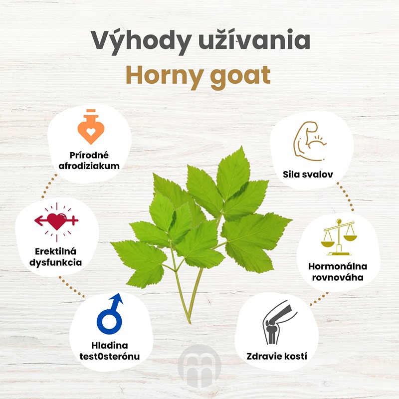 Horny goat - bylina pre sexuálny apetít, potenciu a zvýšenie test0sterónu