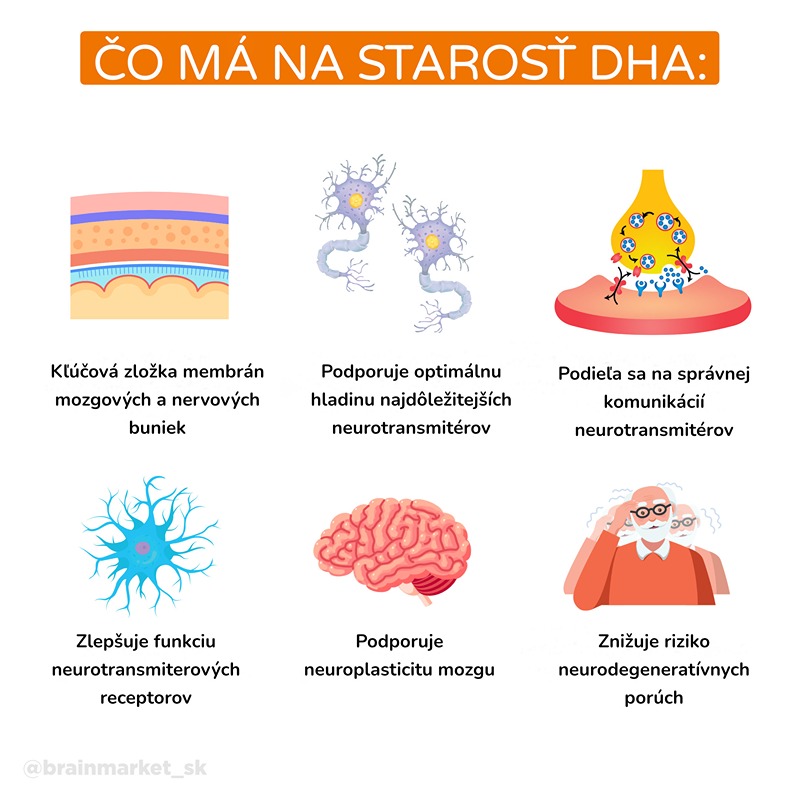 Omega 3: DHA je palivo pre mozog