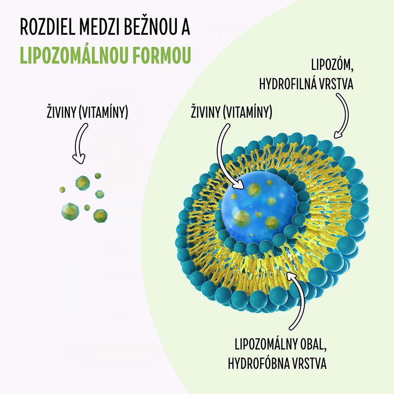 Lipozomálne vitamíny. Prečo dať prednosť lipozomálnej forme?