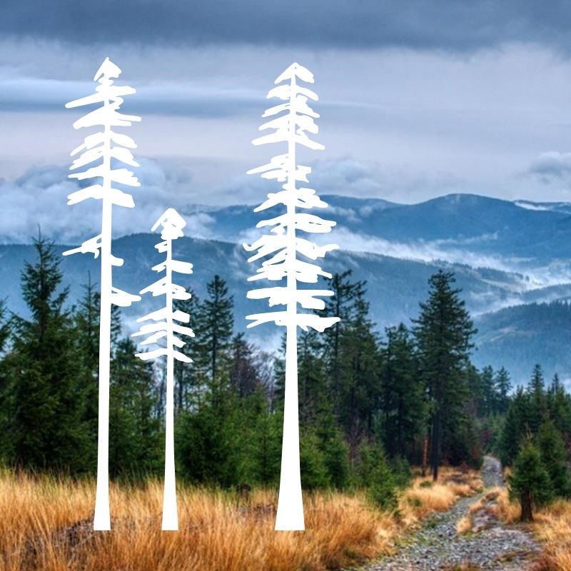 Vysádzanie stromov - spoločne s Vami sa staráme o CHKO Beskydy