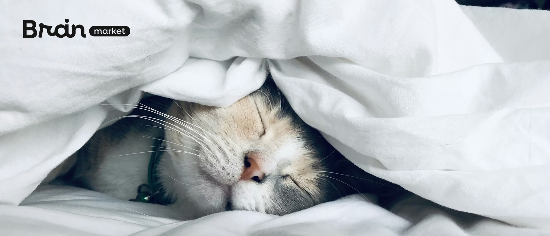 Spánok a jeho fázy: Čo sa deje s našou mysľou, keď spíme a snívame?