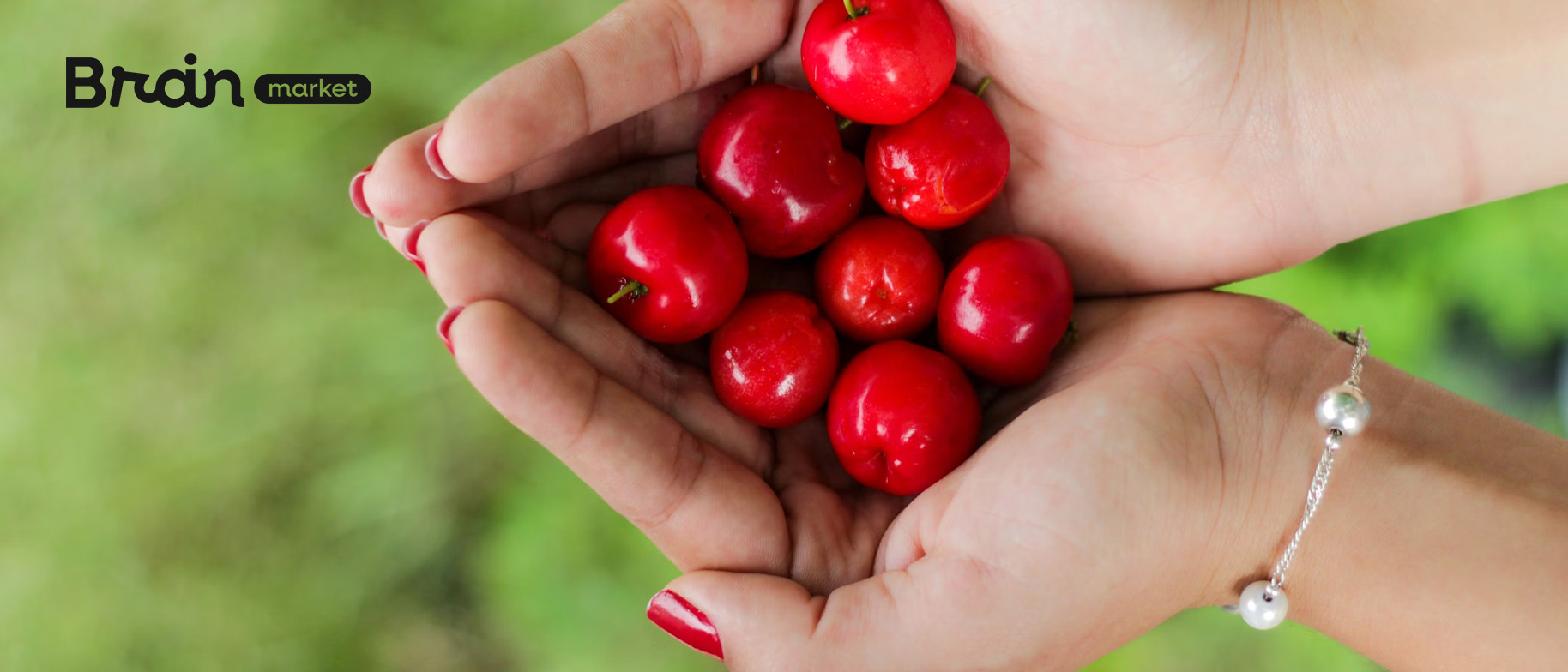 Acerola: Superovocie plné vitamínu C