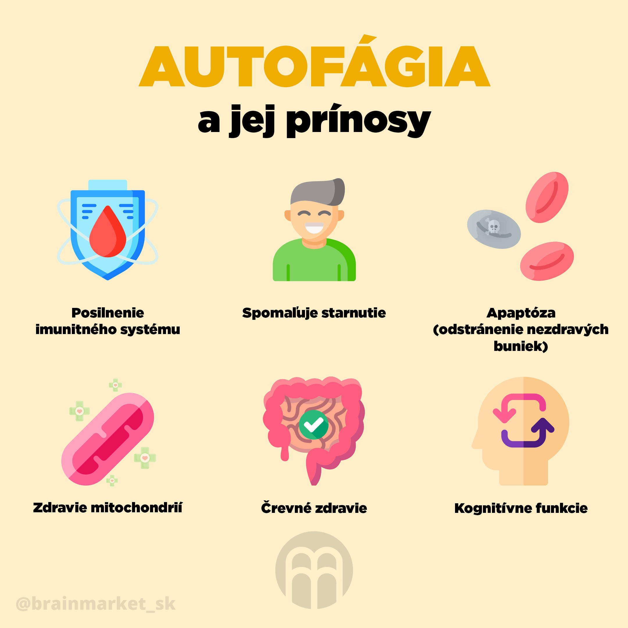 Autofágia čiže bunková recyklácia - 7 bylín, ktoré prispievajú k bunkovému zdraviu