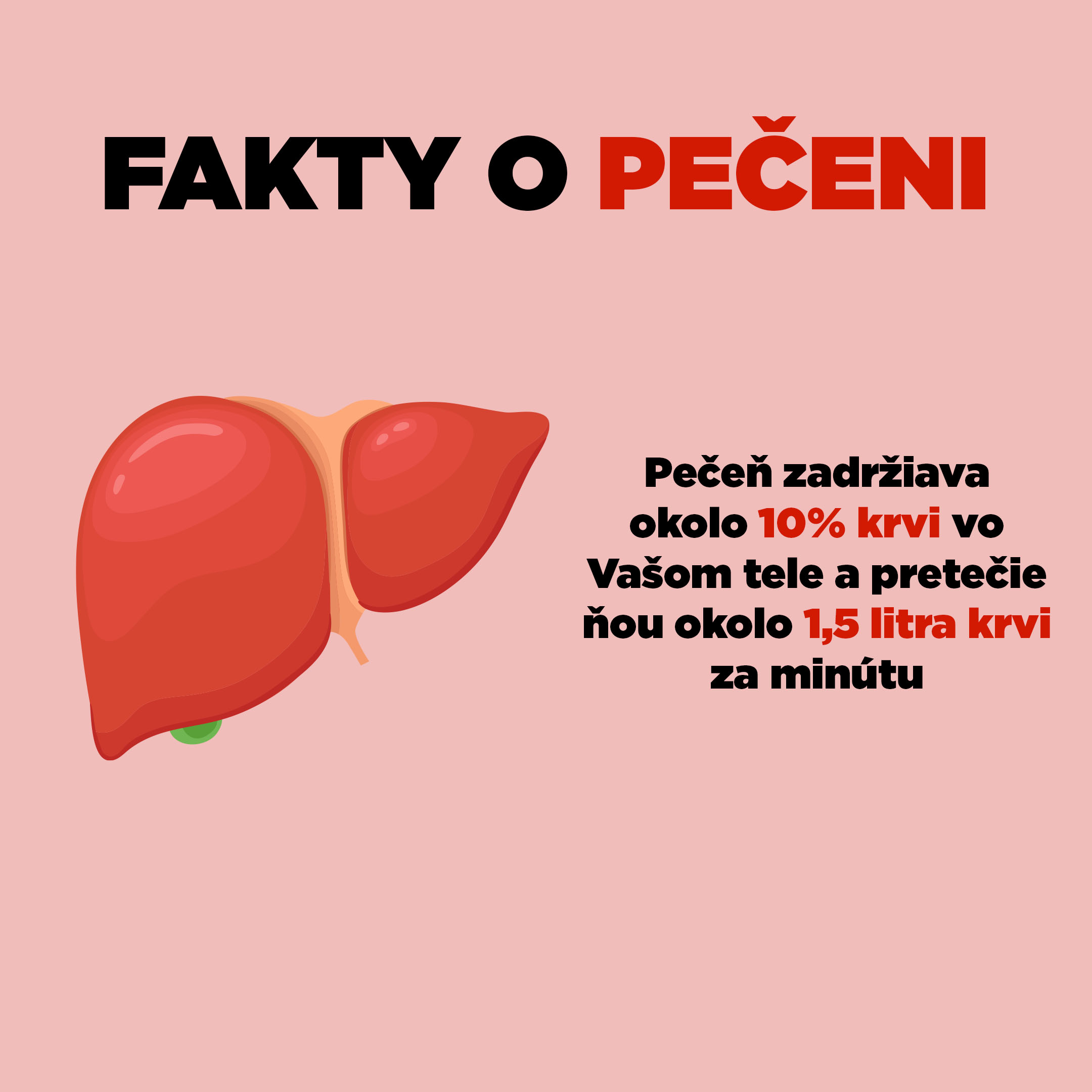 Na čo máme pečeň a ako ju posilniť?