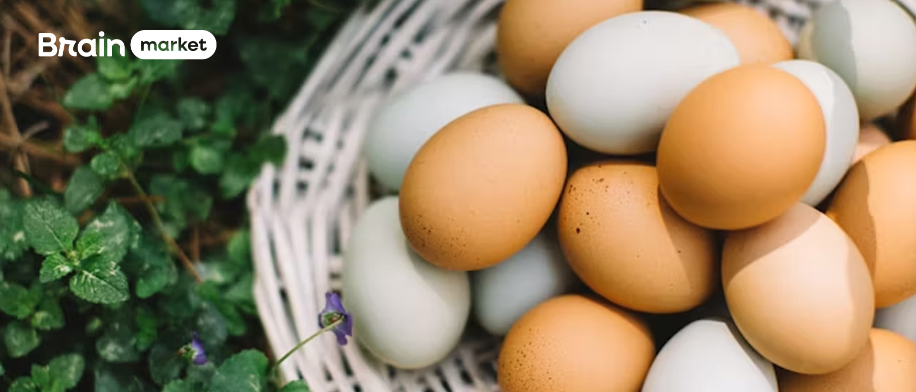 Veľký sprievodca vitamínom K2