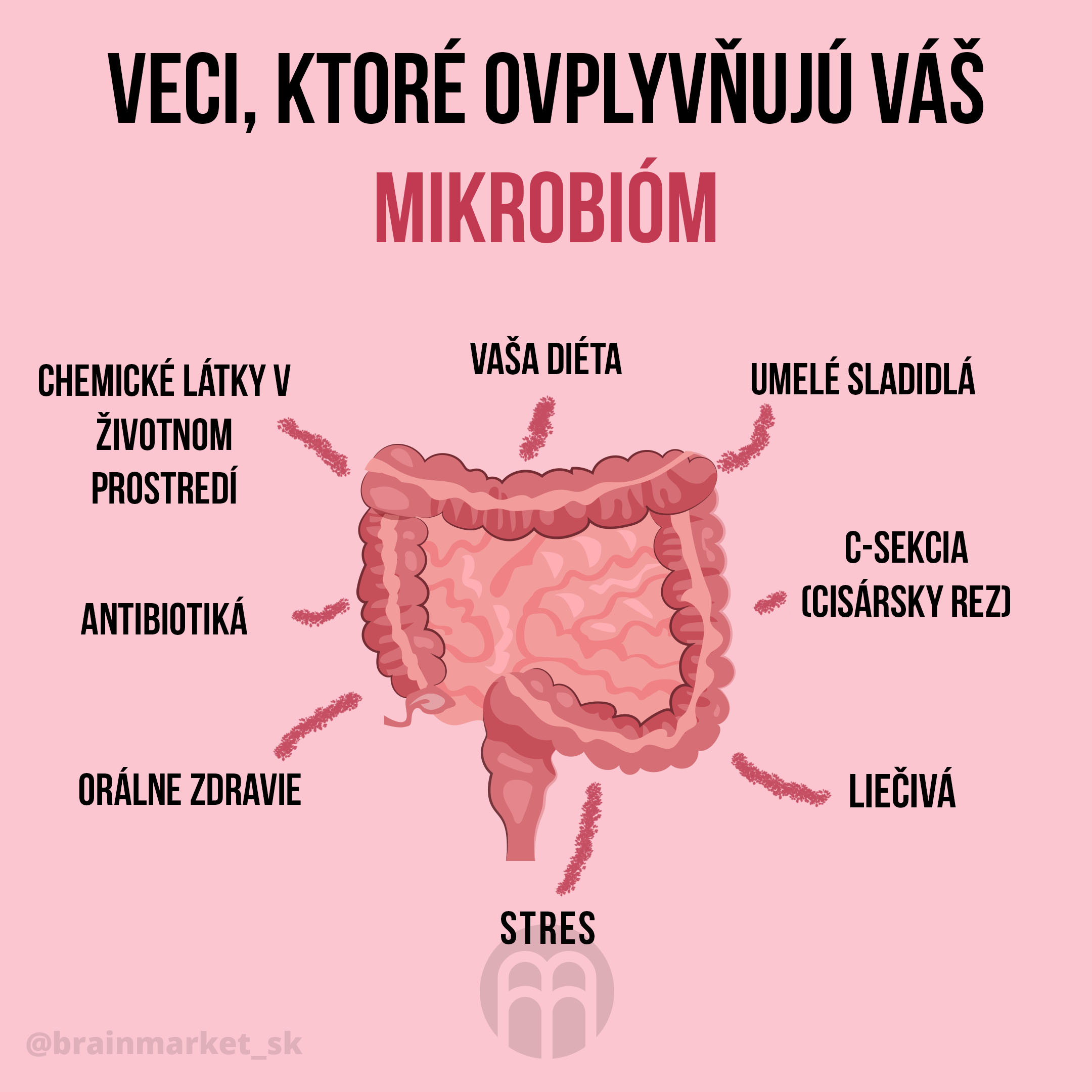 Zdravé črevo je základ celkového zdravia