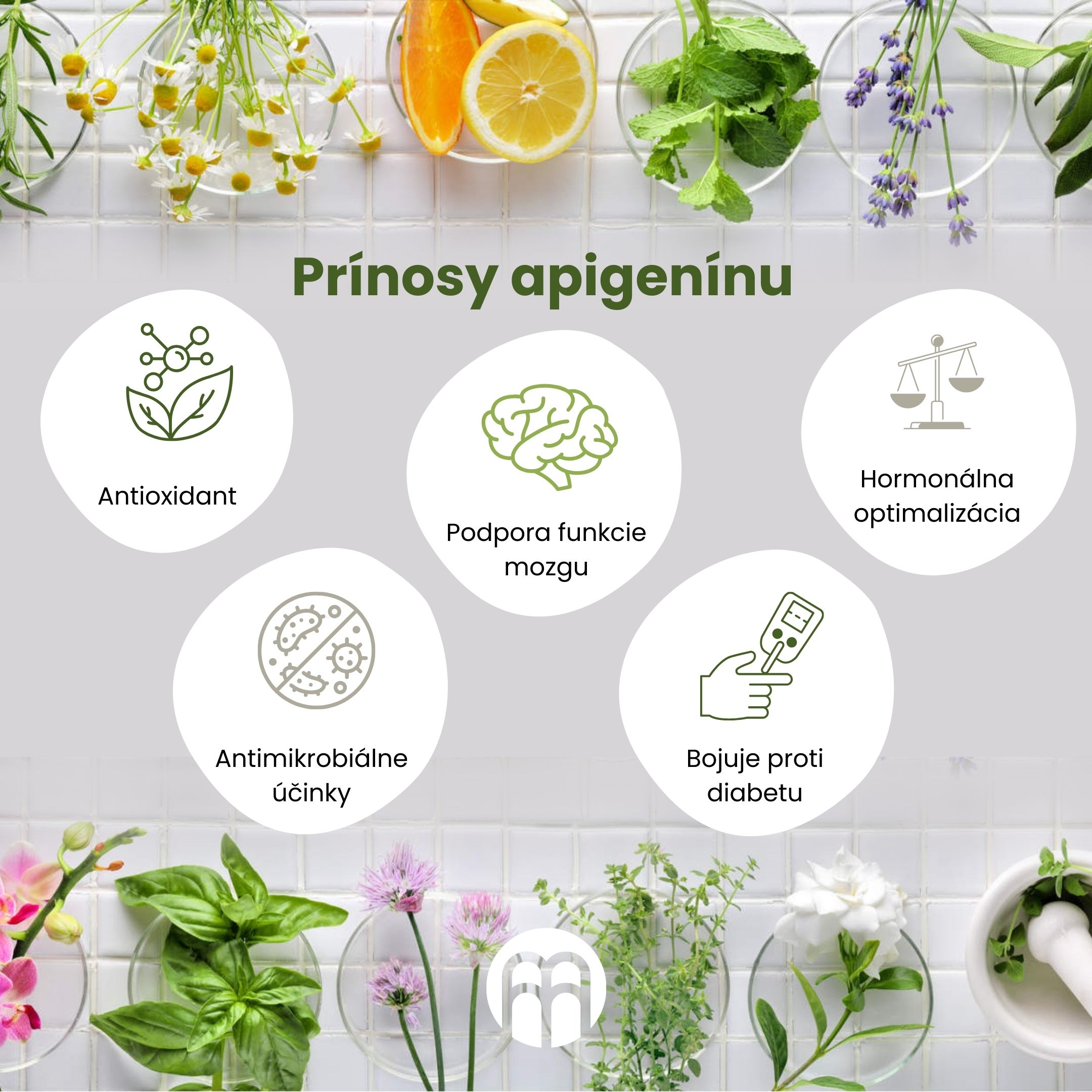 Apigenín: najprebádanejší flavonoid v rastlinnej ríši