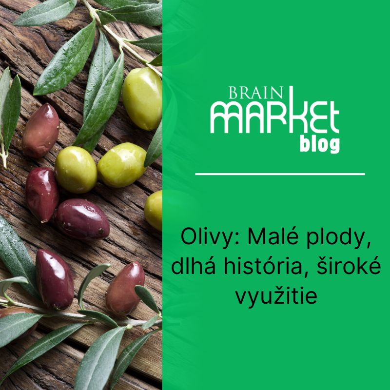 Olivy: Malé plody, dlhá história, široké využitie