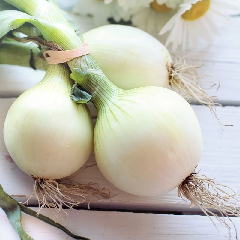 Cibuľa – viac než len plač v kuchyni