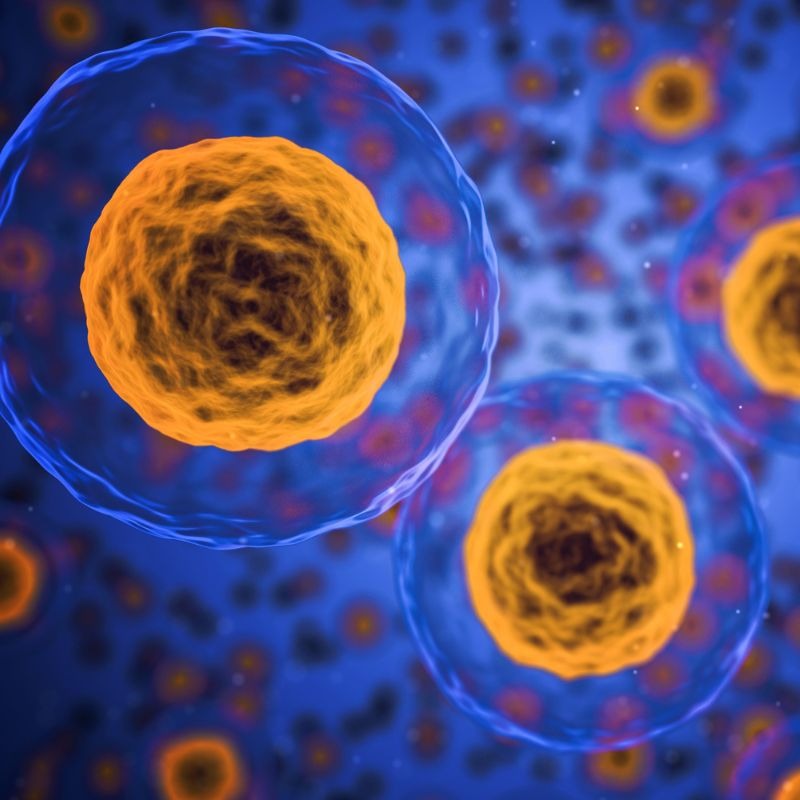 Fosfatidylserín: Skrytý hrdina našich buniek