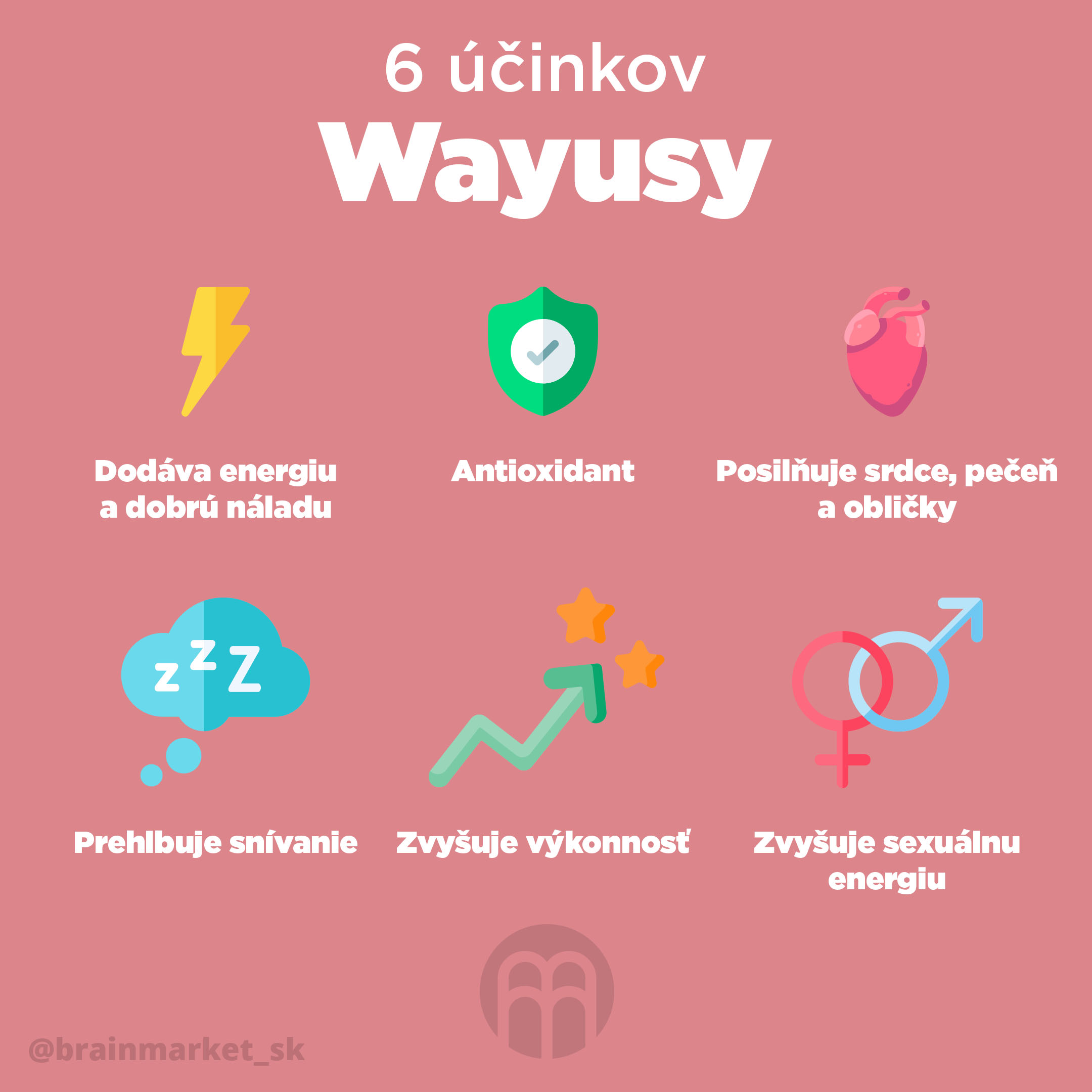 Wayusa, silnejšia sestra Yerby Maté