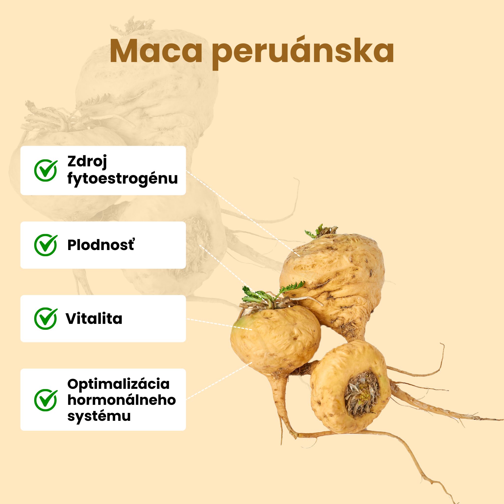 (Slovenčina) Maca peruanska