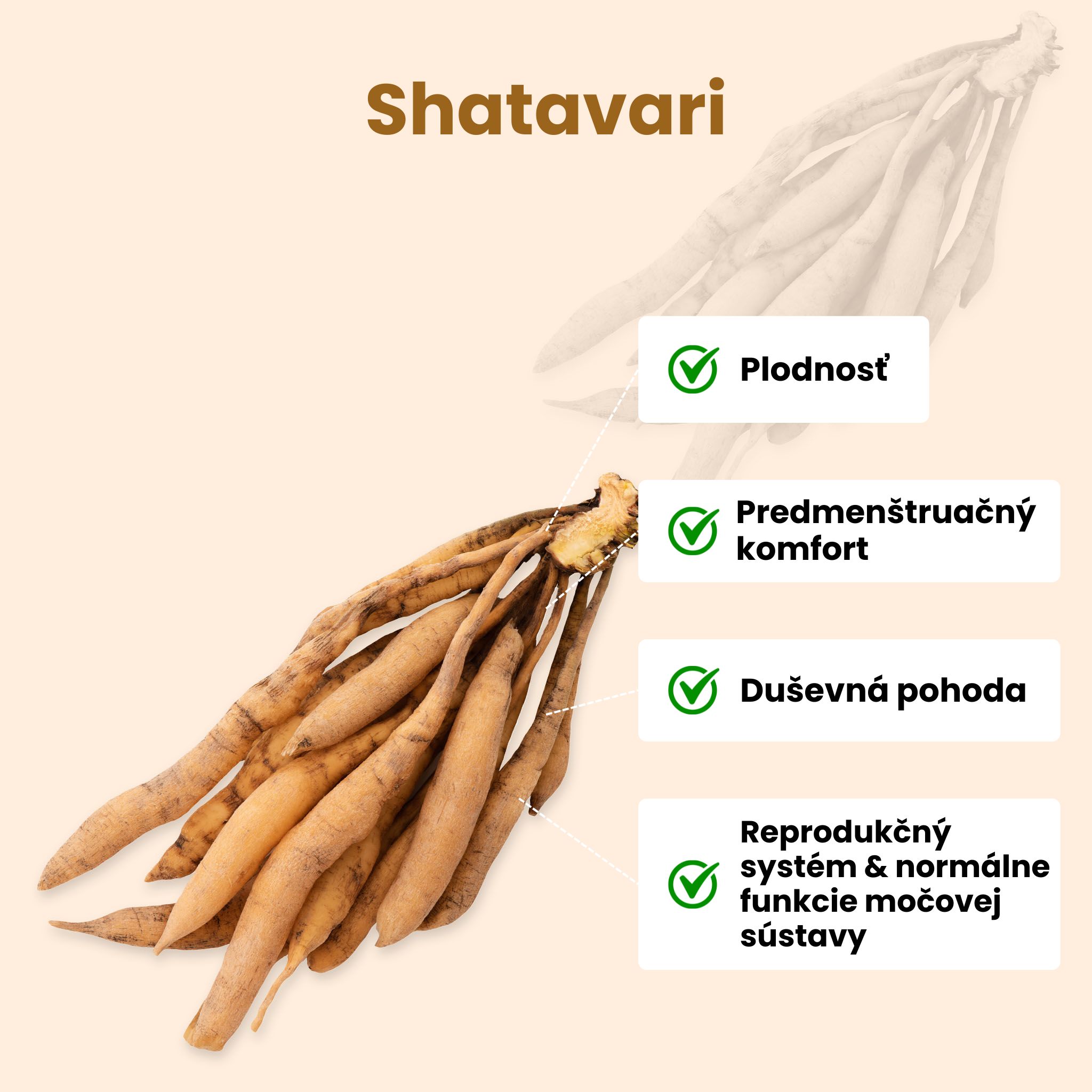 (Slovenčina) Shatavari_1