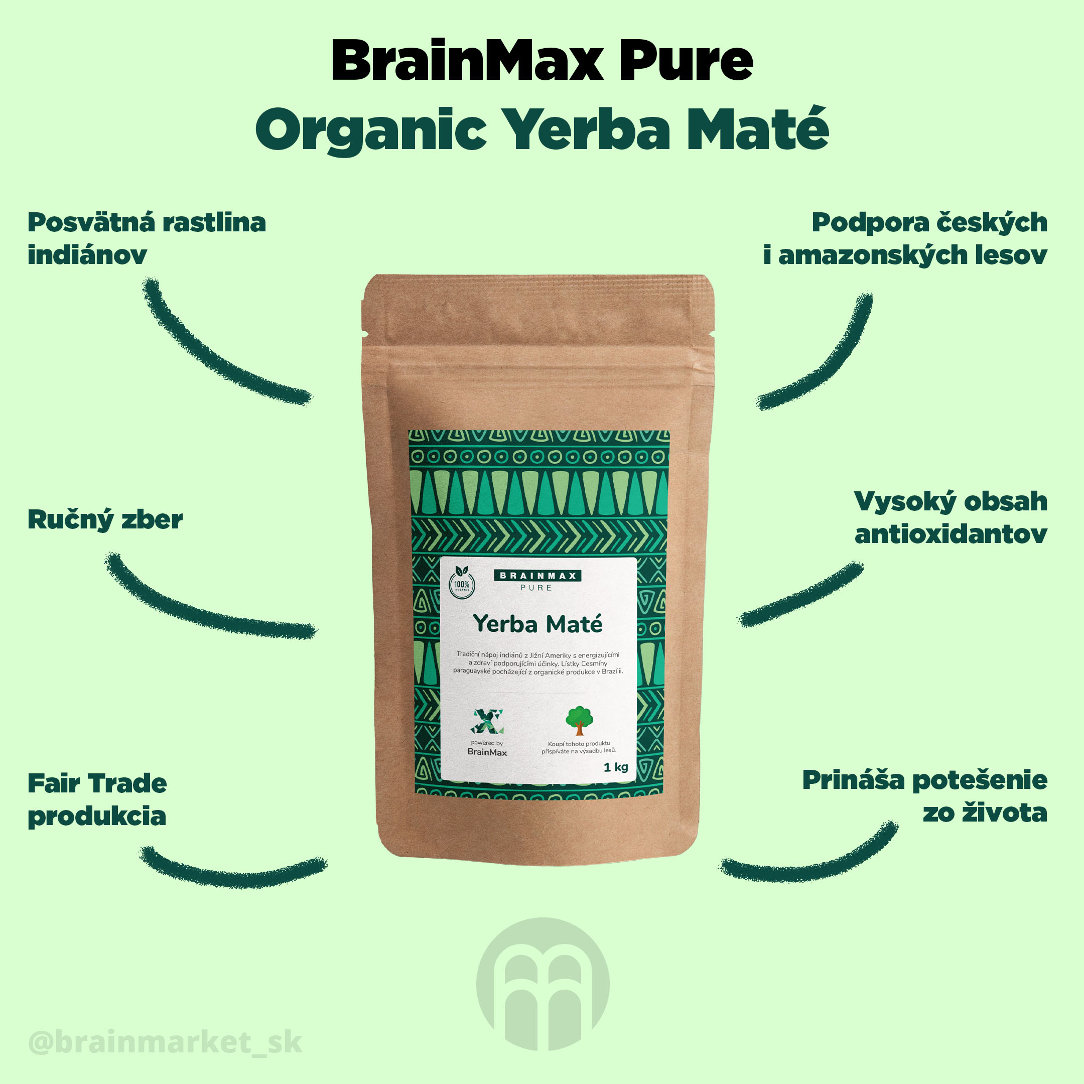 brainmax_yerba_mate_SK_infografika