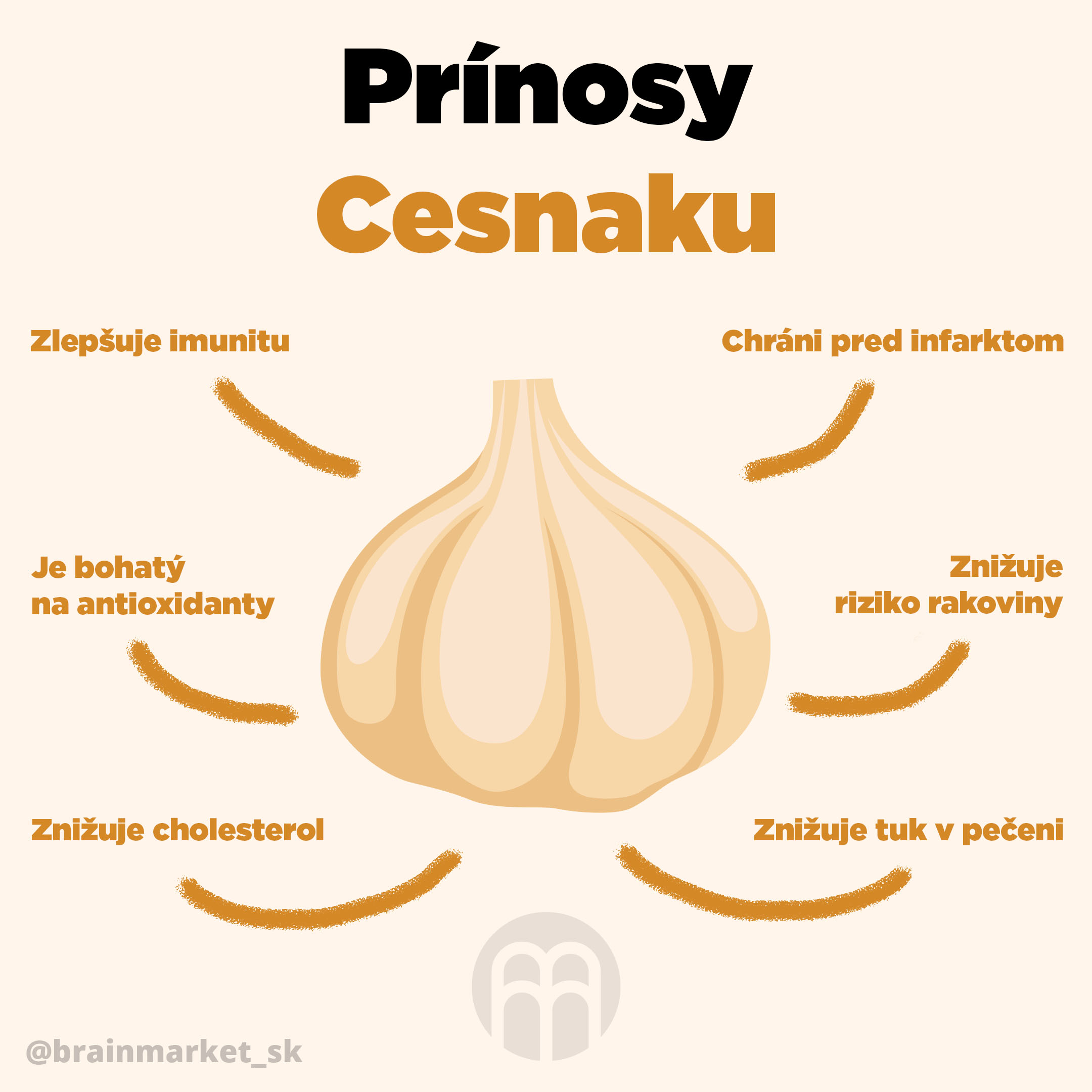 cesnek-sk-2x-infografika-brainmarket