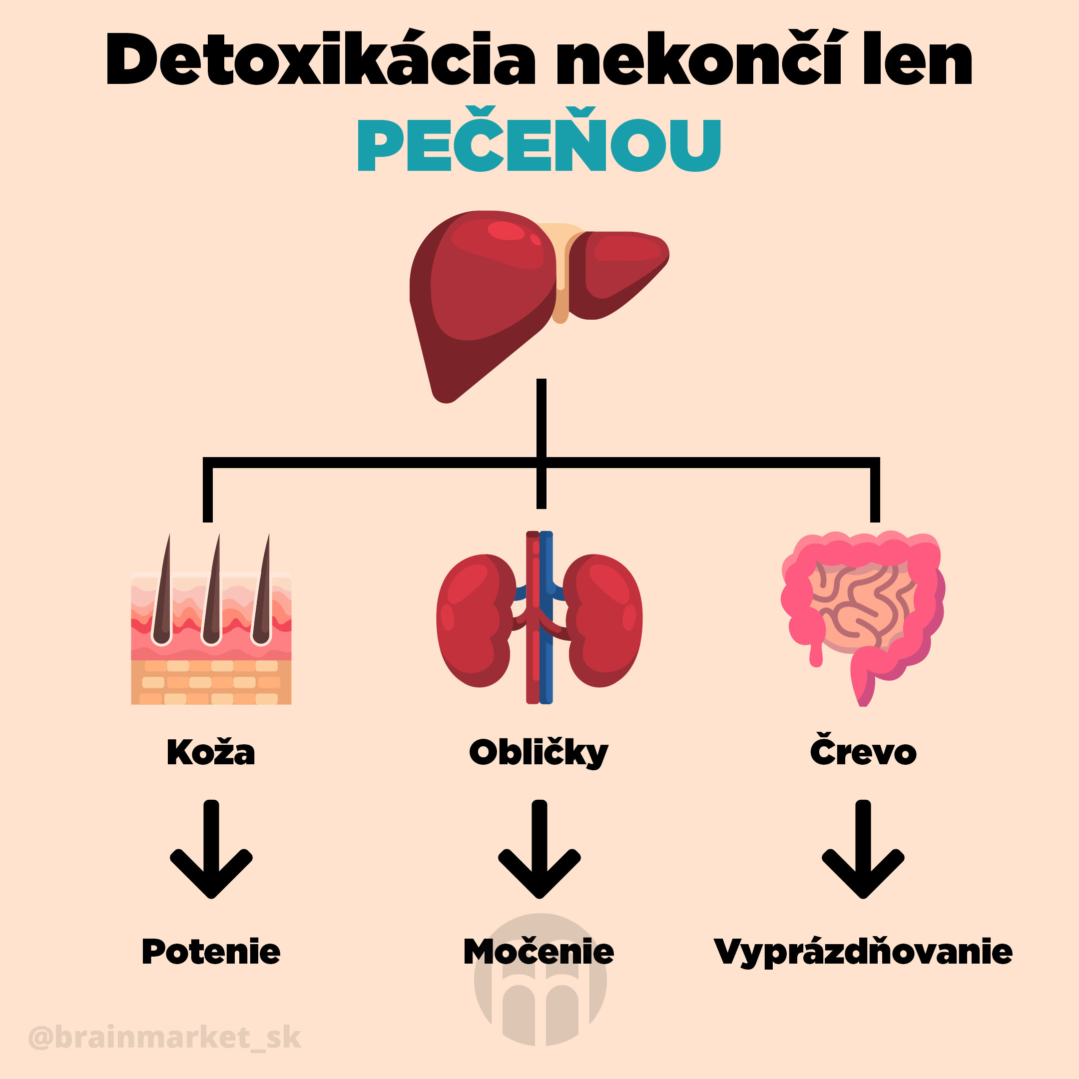 detoxikacia_nekonci_len_pecenou_SK_Infografika_Instagram_BrainMarket