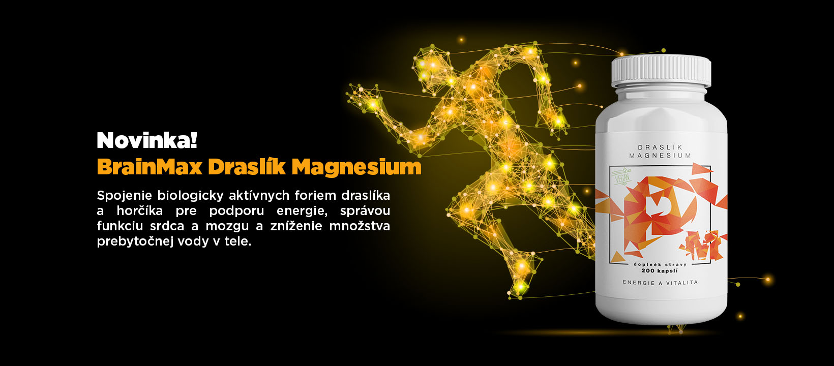 draslik_magnesium_fb_header_SK