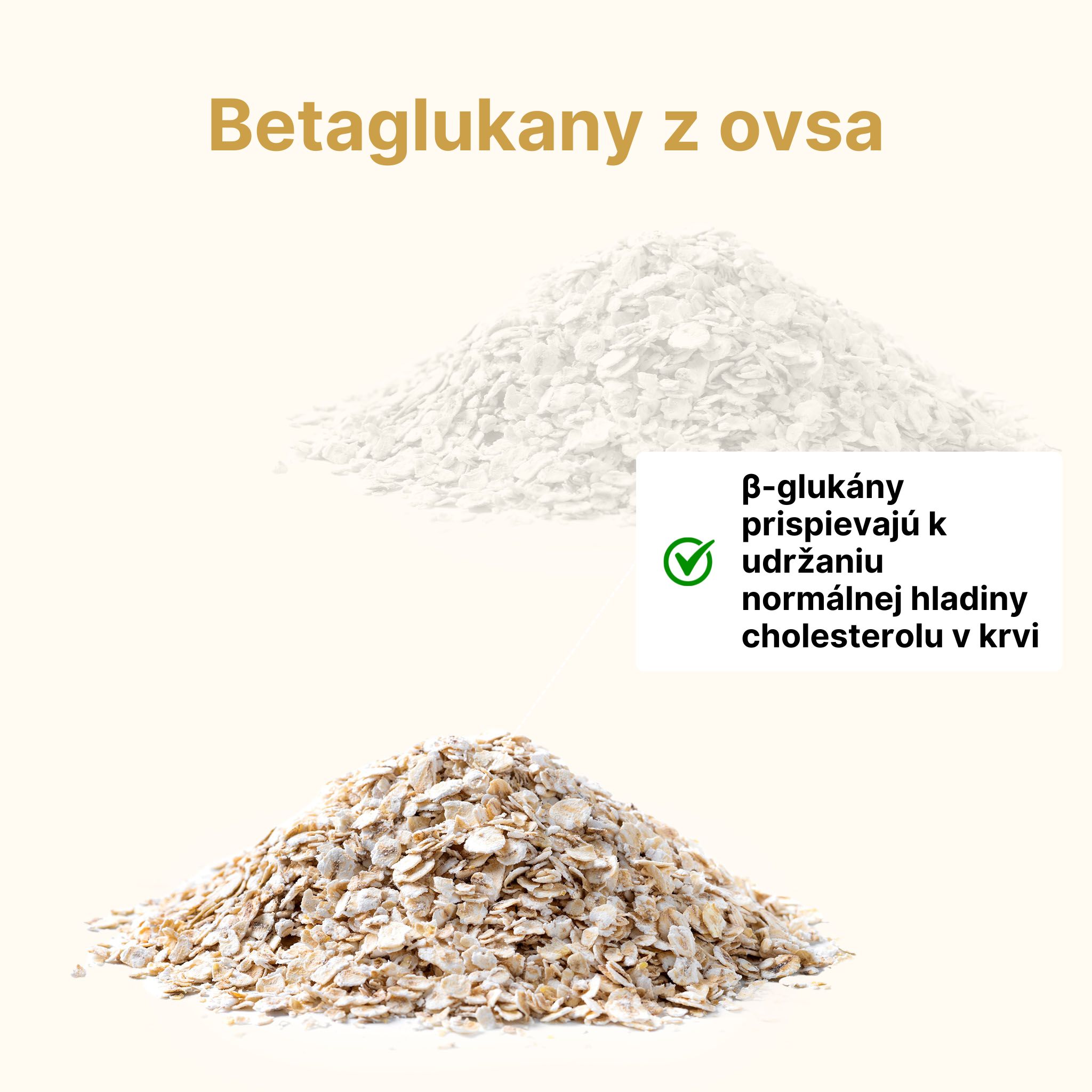 (Slovenčina) - 2024-08-12T093050.268