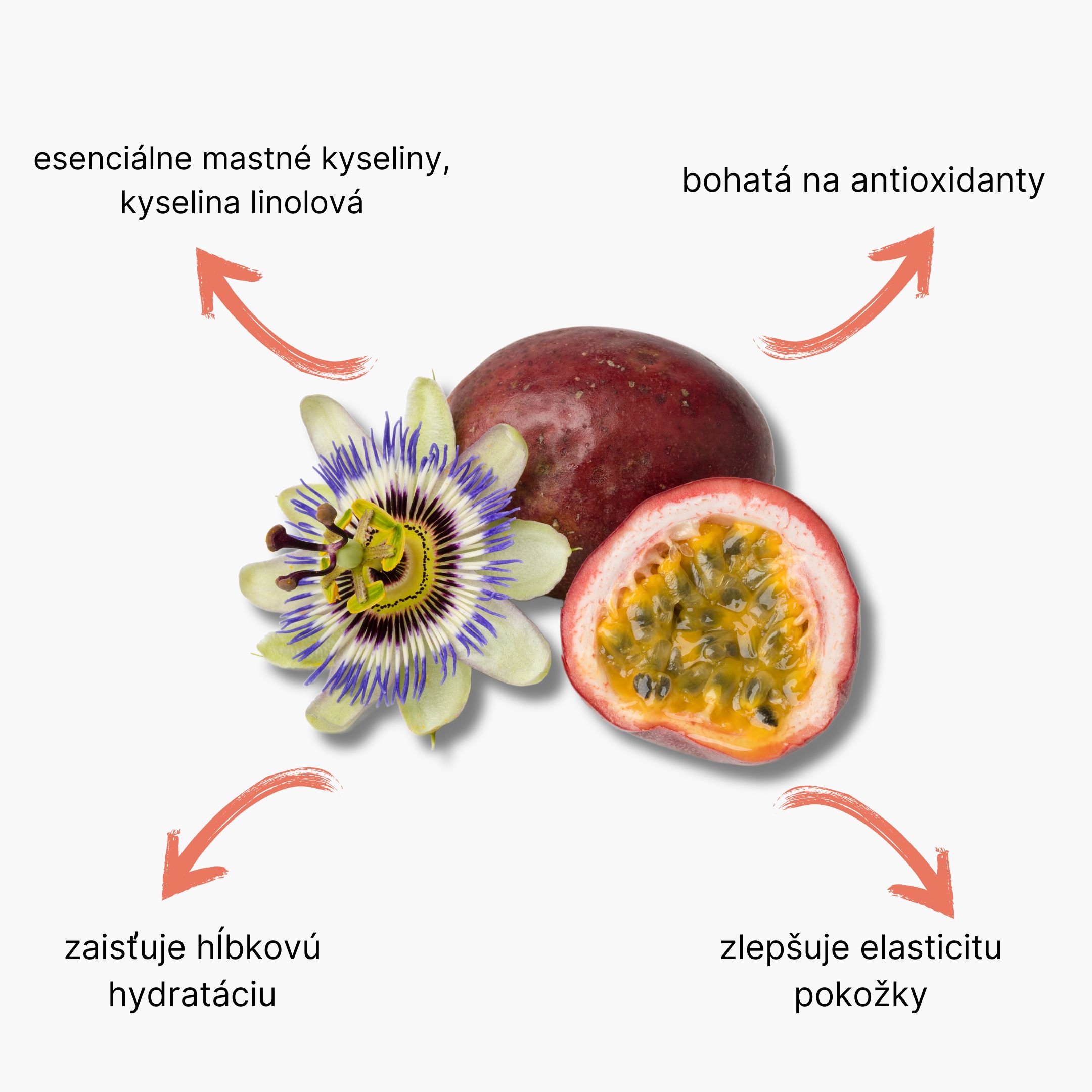 (Slovenčina) - 2024-08-14T130025.206