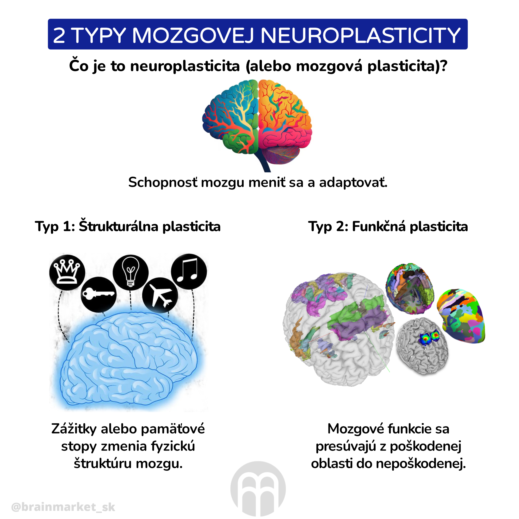 2 typy mozkové neuroplasticity _inforgafika_cz