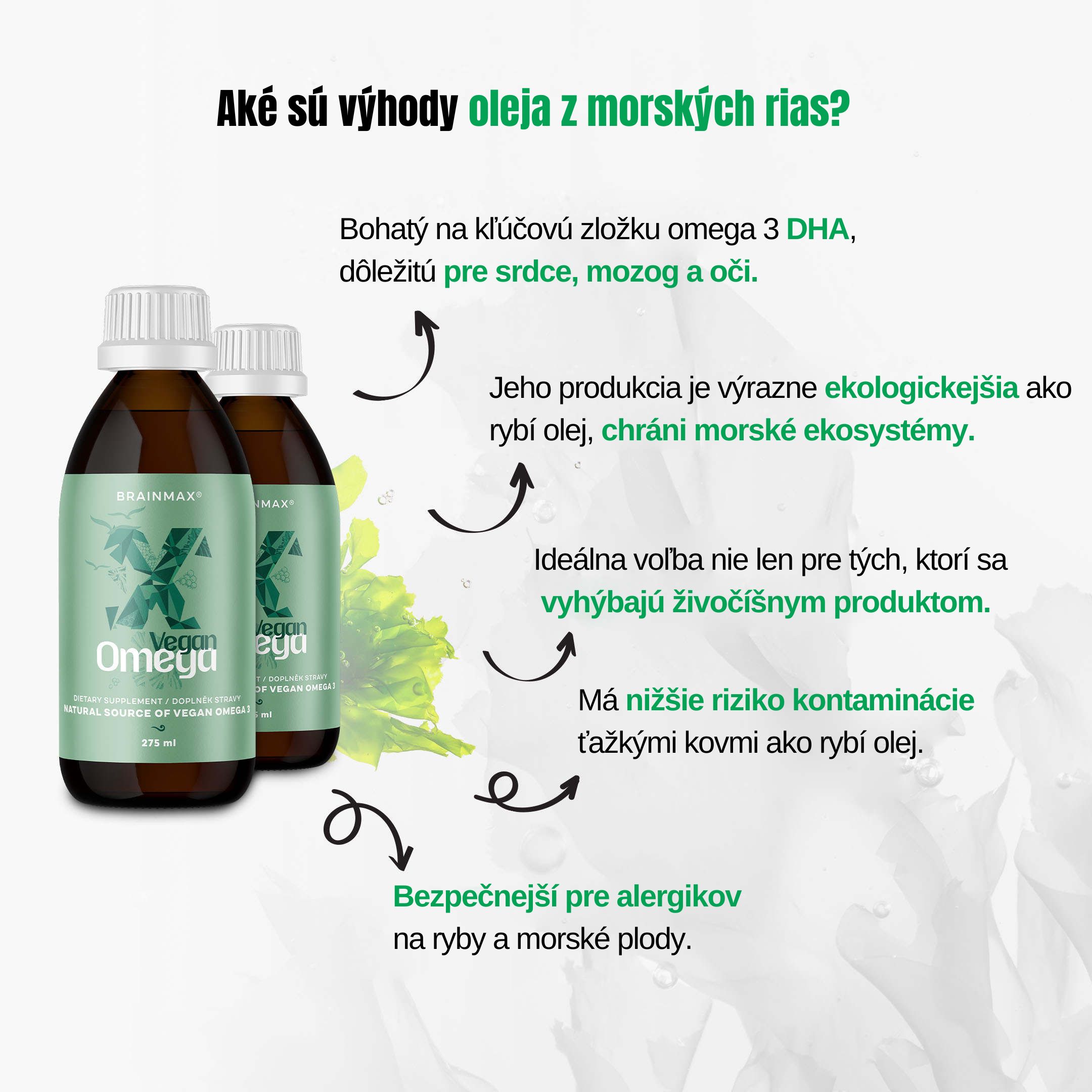 brainmax vegan omega produkt info2