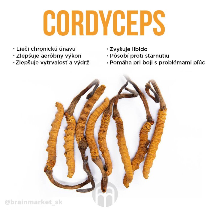 700-z677n44q3tu34791-cordyceps