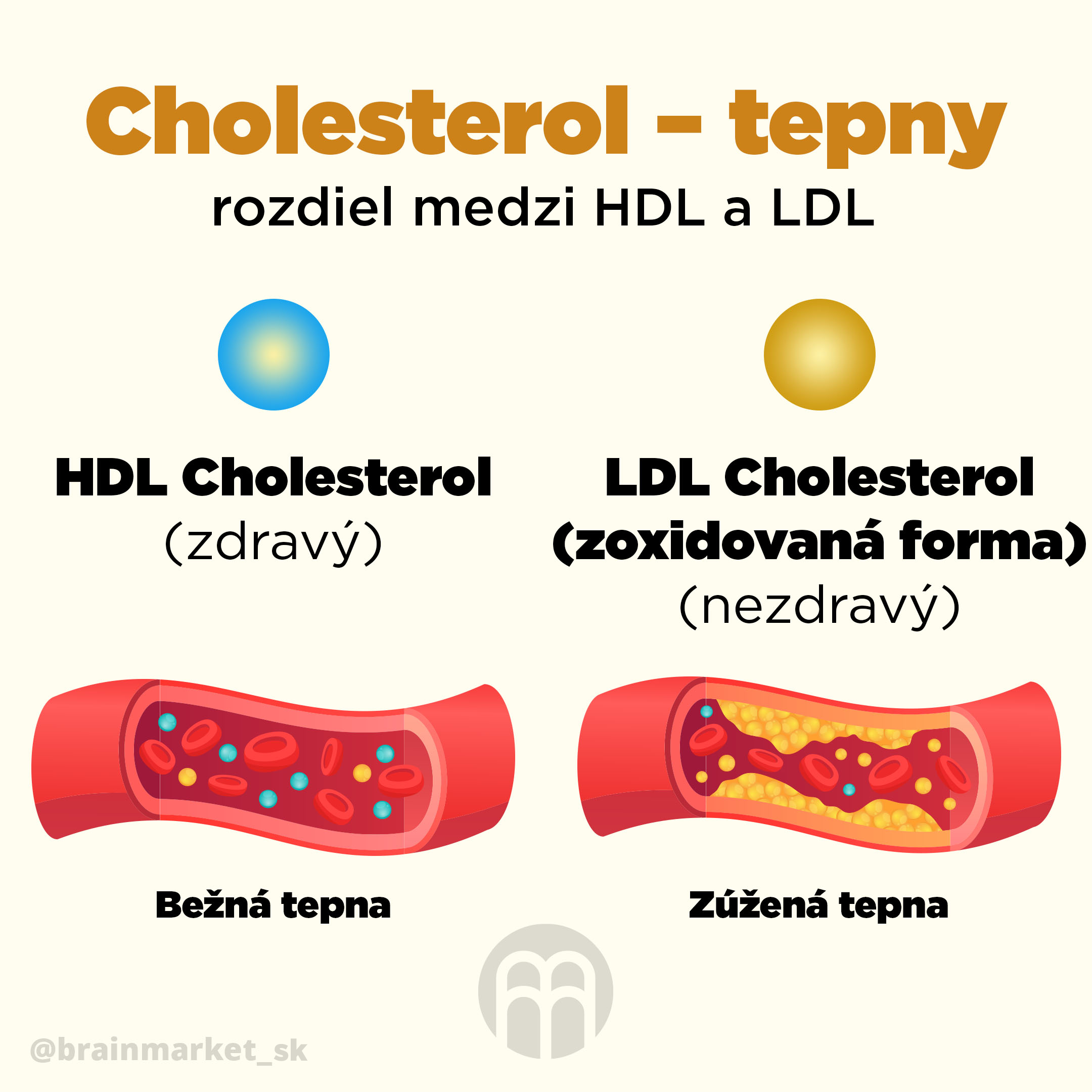 cholesterol_infografika_brainmarket_cz