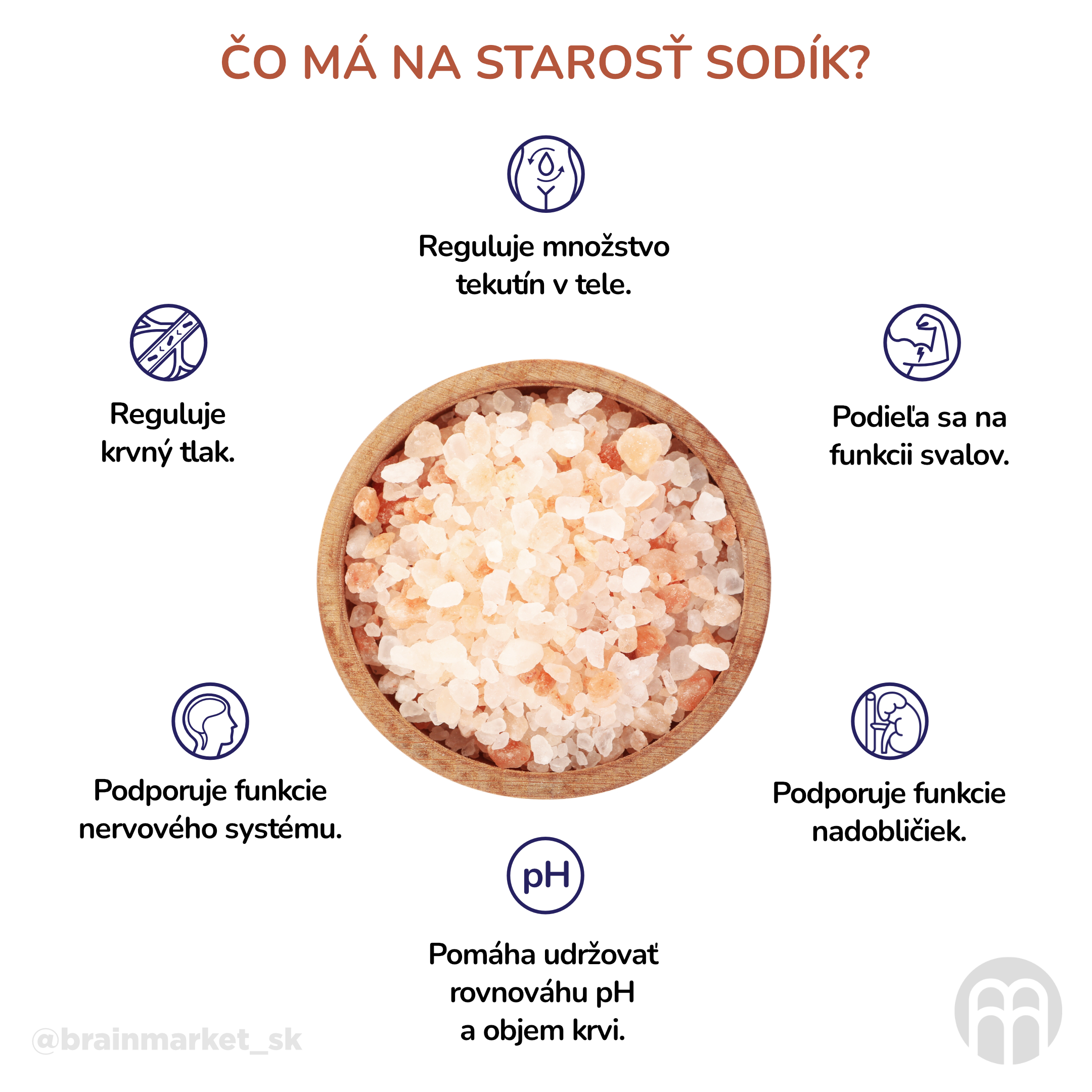 Co má na starost sodík__infografika_cz