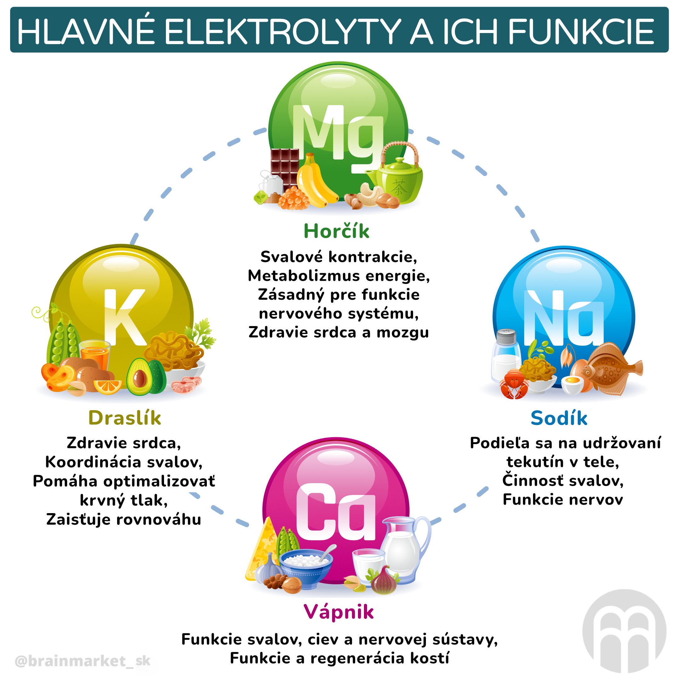 Hlavní elektrolyty a jejich funkce_inforgafika_cz