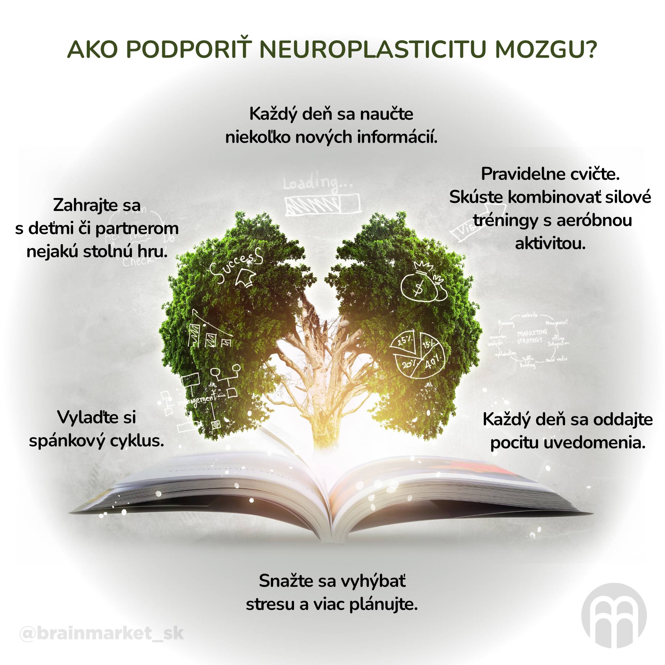 Jak podpořit neuroplasticitu mozku__infografika_cz