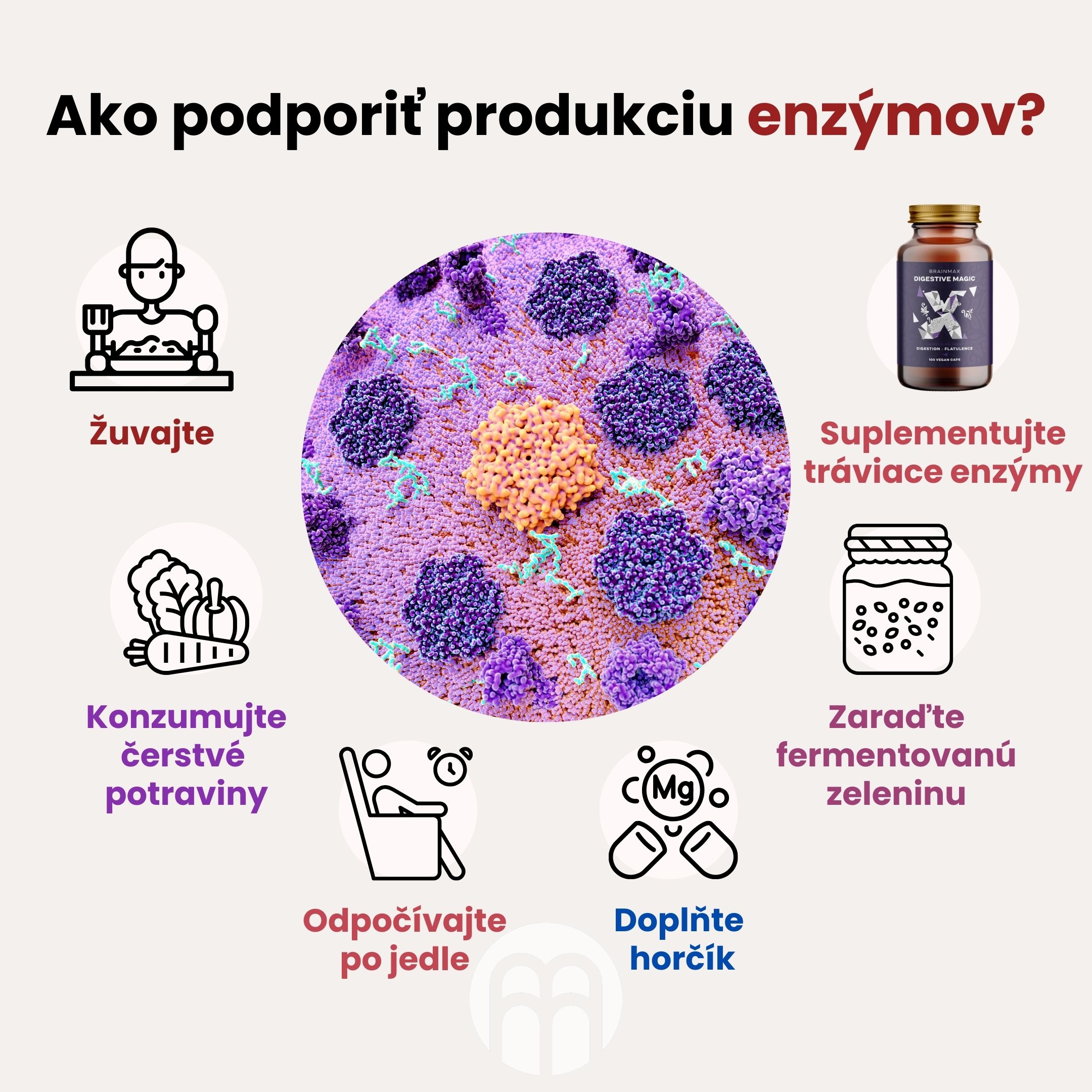 produkci-enzymu-infografika-brainmarket-sk