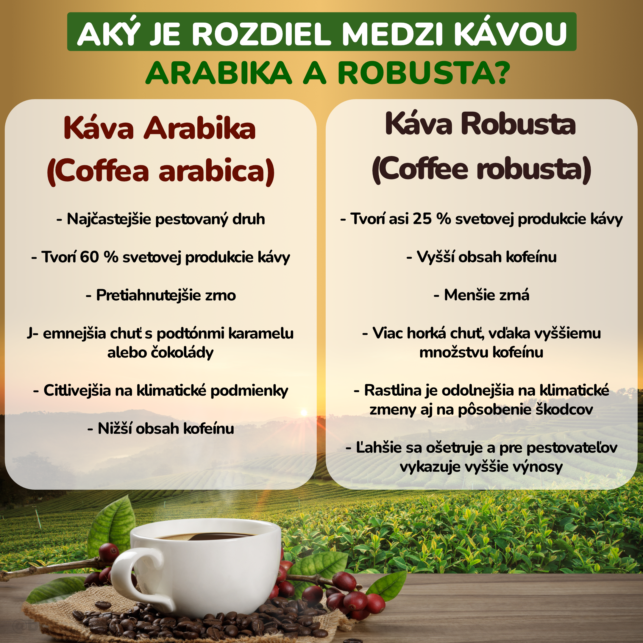 Jaký je rozdíl mezi kávou Arabika a Robusta__infografika2_cz