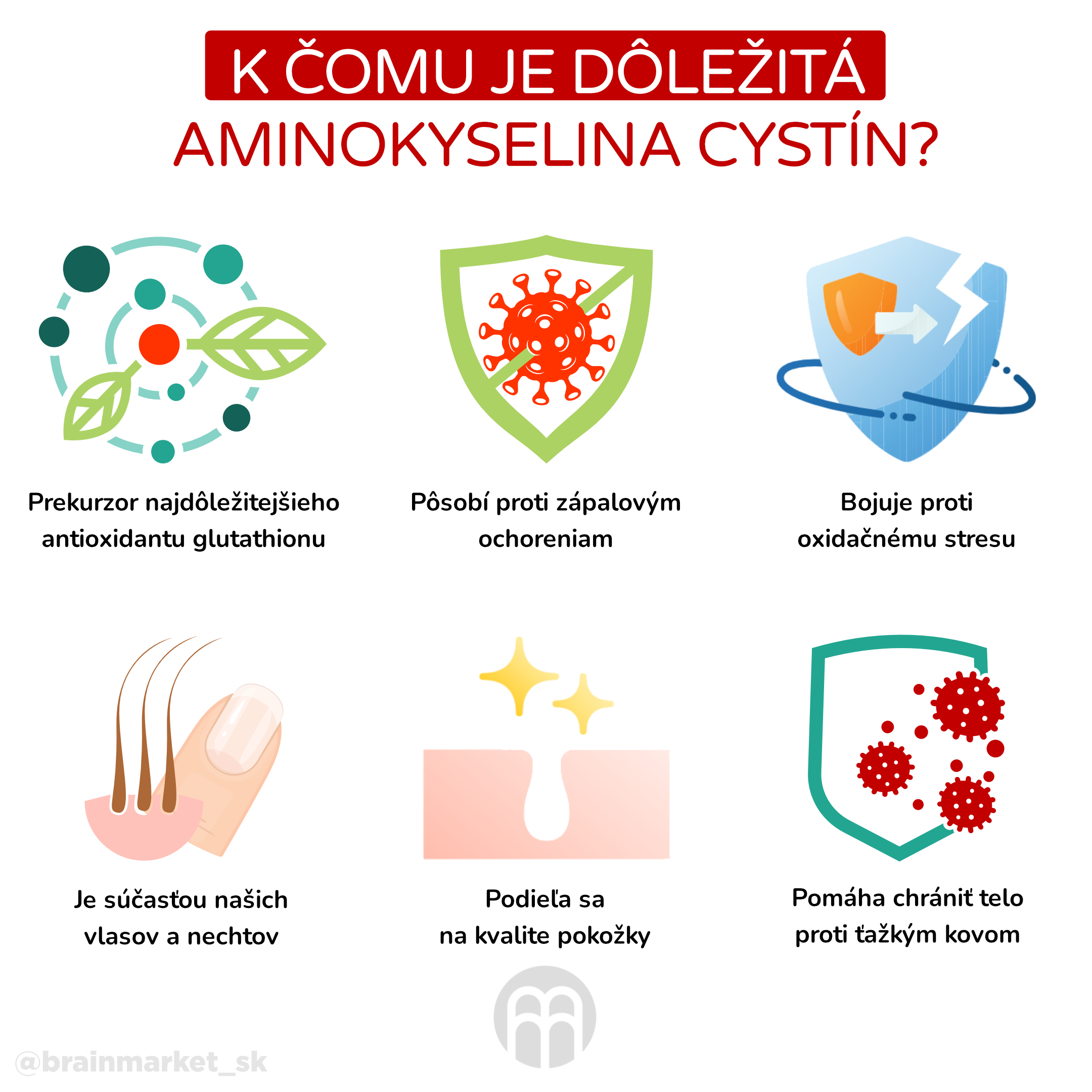 K čemu je důležitá aminokyselina cystin__infografika_cz